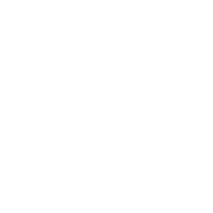 Reconditioned Audi Engines