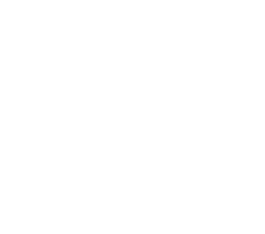 Vehicle Repaired